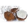/product-detail/coconut-water-concentrate-from-india-62012338529.html