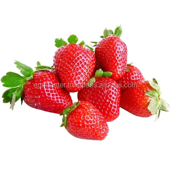 fruit fresh berries taste/texture; berries should be free of