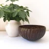 Hot sale unique gift natural coconut shell bowls with wavy shape wholesales