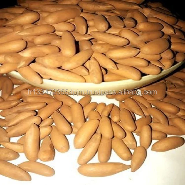 high quality pinenut, white pine nuts kernels, red pine nut