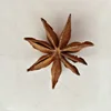 SPRING STAR ANISE FROM GIA GIA NGUYEN COMPANY