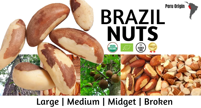 peruvian brazil nuts - organic macadamia - haccp kosher - immune