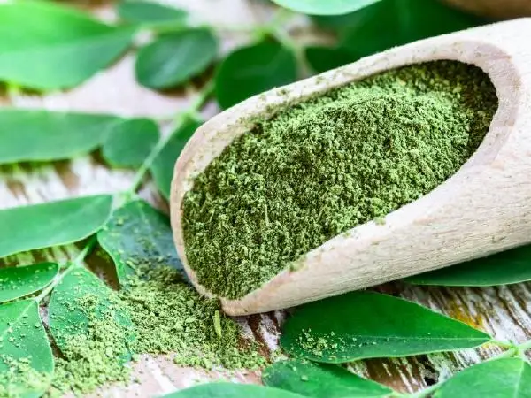 moringa powder (2).jpg