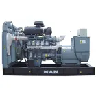 Weiman Diesel Engine Diesel Generator 300kva Standby Power