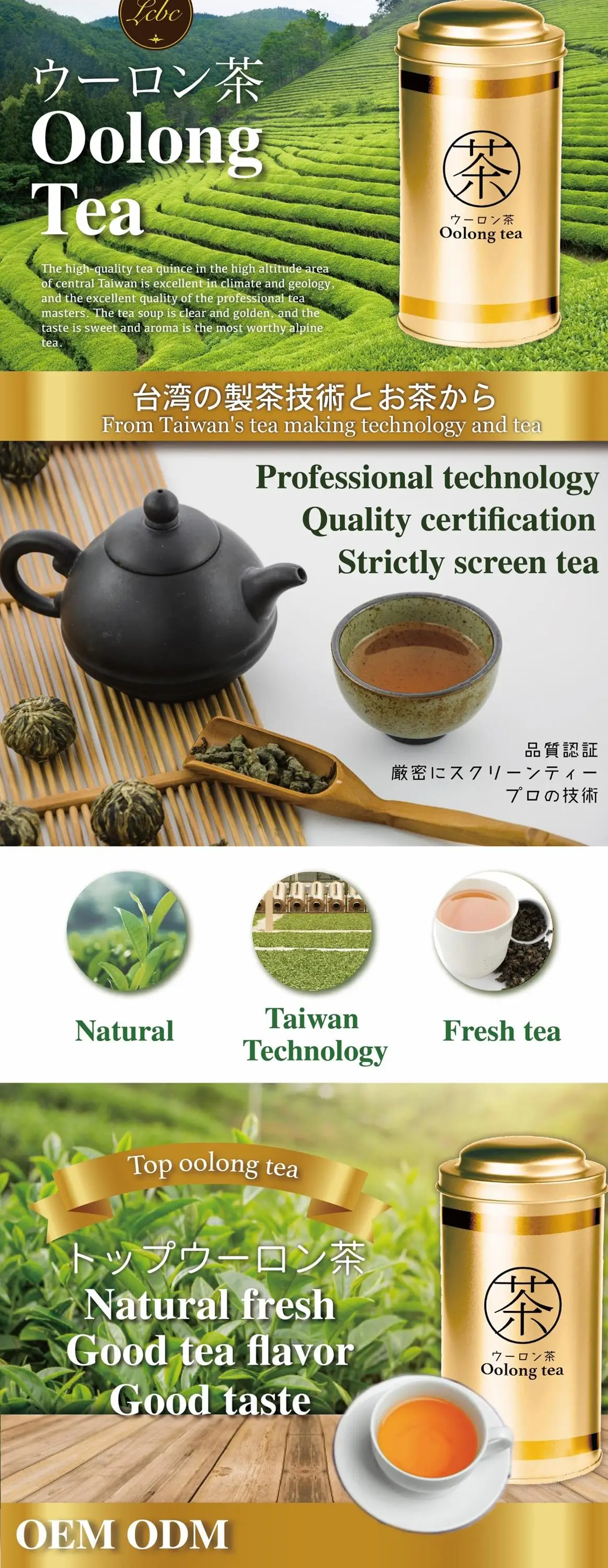 taiwan traditional organic dong ding oolong tea for boba tea sho