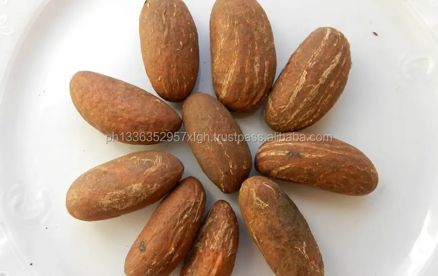 bitter kola,garcinia kola-bitter kola,kola nut bitter/african