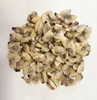 Frozen Short Necked Clam for sale