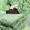 /product-detail/alfalfa-hay-variety-and-horse-use-high-quality-alfalfa-hay-for-sale-62010829008.html