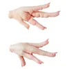 /product-detail/cheap-frozen-chicken-feet-paws-hot-sale-62016728306.html