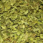 Price Herb Extract Moringa Powder Leaf