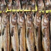100% Dry Stock Fish From Denmark Best Quality Best