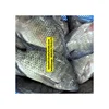 /product-detail/vietnam-seafood-supplier-frozen-black-tilapia-frozen-red-tilapia-fish-with-good-price-whatsapp-kakaotalk-0084917918175-62011138576.html