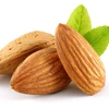 /product-detail/wholesale-shelled-dry-fruits-almond-nuts-62011823073.html