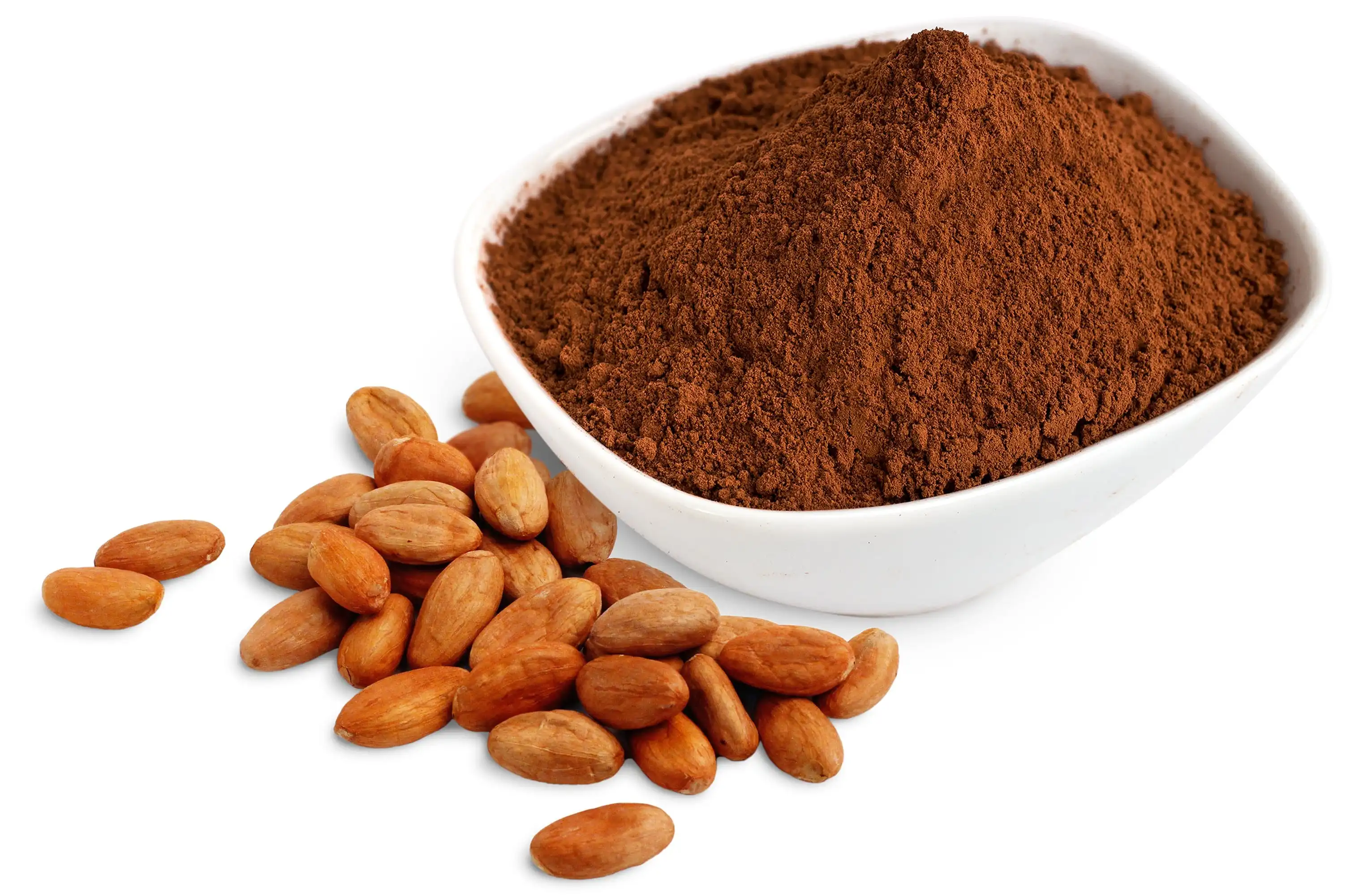 Какао порошок Organic Cocoa Powder