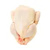 /product-detail/halal-frozen-whole-turkey-meat-processed-clean-great-prices-fast-shipment--62013445155.html