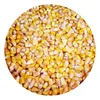 /product-detail/yellow-corn-grain-maize-for-animal-feed-62013522020.html
