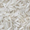 1121 White Sella Rice - Basmati - Largest Whole Sale Manufacturer