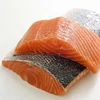 Frozen Salmon fish FOR SALE