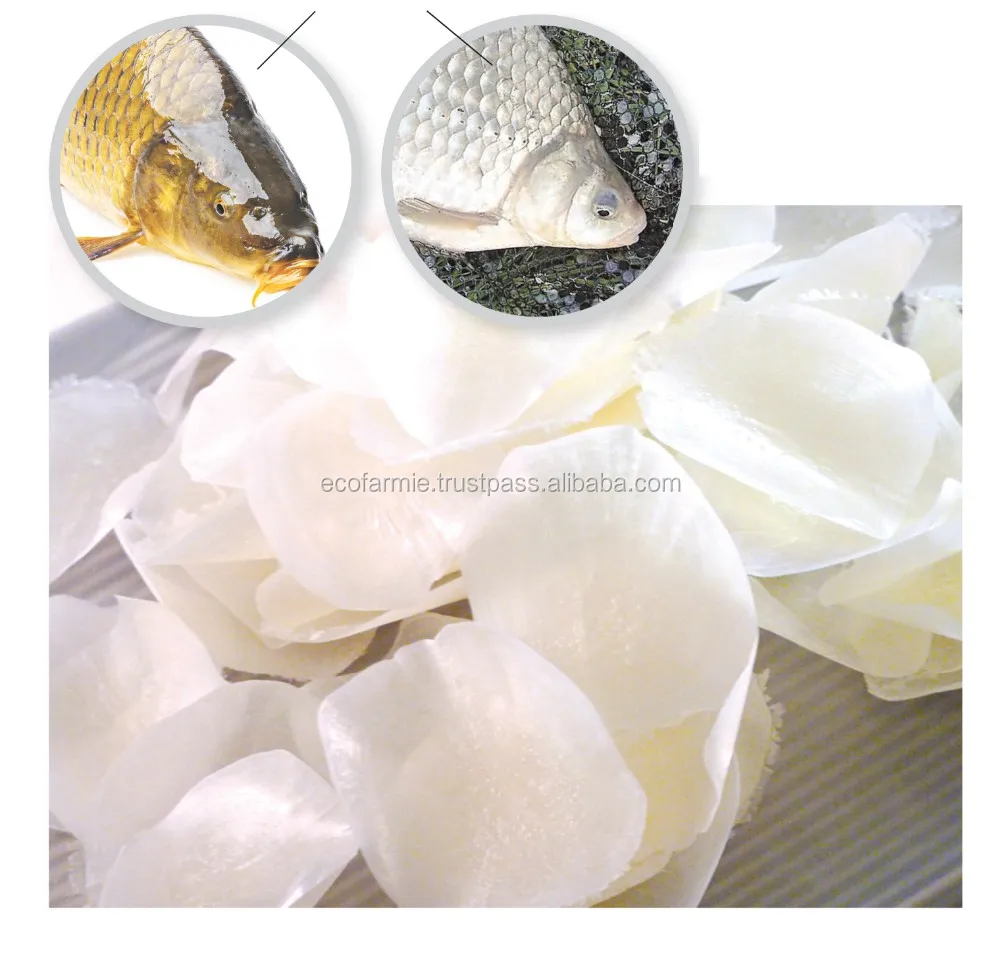 tilapia fish scales dried and high quality