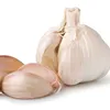 Best quality bulk pure fresh normal white garlic