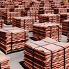 /product-detail/electrolytic-copper-cathodes-manufacturers-from-china-best-rate-for-copper-cathodes-for-sale-62010663446.html
