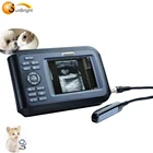 veterinary pregnancy ultrasound for large animals Cow sheep