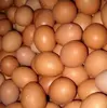 /product-detail/fresh-brown-shell-table-eggs-62010135629.html
