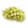 Fresh Seedless Grape Seedless Wholesale Price