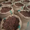 100% High Quality Cocoa