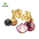 Klife supply superfood natural spices powder