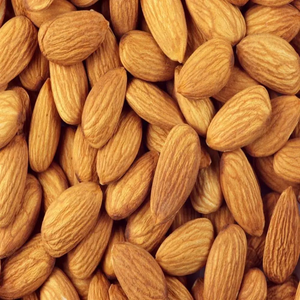 export quality roasted almond nuts