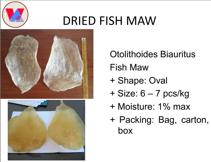 dried fish maw make collagen origin vietnam