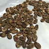 /product-detail/wholesale-raw-and-dried-black-water-melon-seeds-62009843149.html