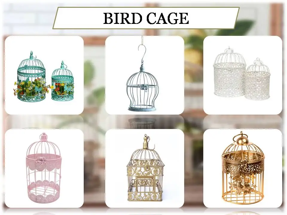 bird cage.jpg