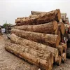 timber round logs, hardwood and softwood