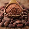 /product-detail/high-quality-vietnam-cocoa-beans-100-natural-62009852598.html