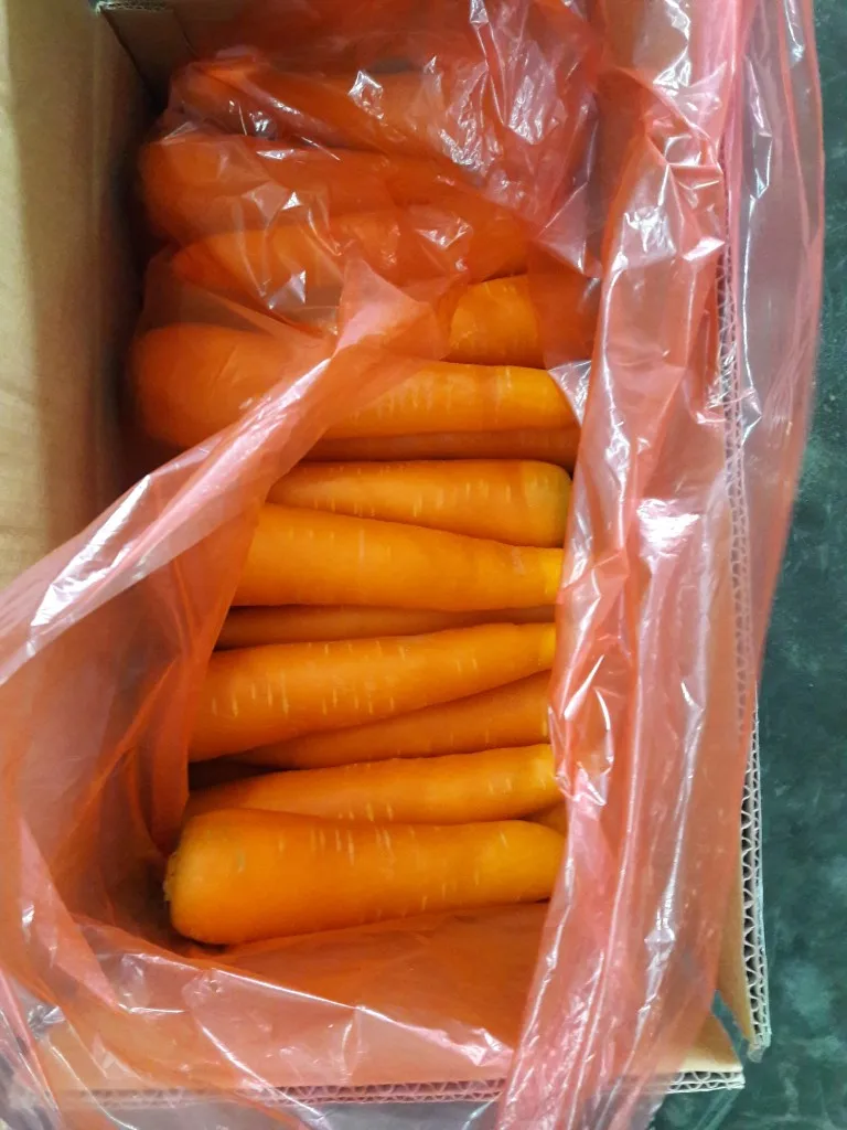 20180327_164212.jpg