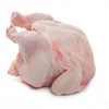 Best Price HALAL CERTIFIED FROZEN Whole CHICKEN/Poultry Products/Halal Frozen Chicken Feet And Chicken Paws
