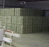 Quality Alfalfa Hay for Animal Feed from Ukraine for Sale