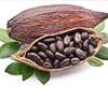 Good Dried Grade Cocoa/ Cacao/ Chocolate bean