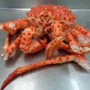 Frozen King Crab Legs & Claws & live King crab