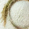 Long Grain White Rice 10% Broken