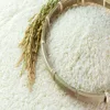 Non Basmati - Broken White Rice