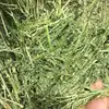 /product-detail/quality-alfalfa-dehydrated-alfalfa-or-alfalfa-lucerne-hay-bales-and-pellets-62004133538.html