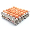 /product-detail/white-fresh-table-chicken-egg-broiler-hatching-eggs-cobb-500-and-ross-308-chicken-ross-broiler-chicken-eggs-for-sale-62003888555.html