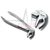 Extraction Forceps Mead Pattern Lower Incisors Root Teeth Dental Instruments By Zabeel Industrie