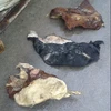 /product-detail/dry-salted-bull-hides-wet-salted-cow-head-skins-wet-salted-bull-hides-or-skin-62004125885.html
