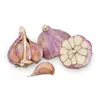 Fresh Natural Garlic White/Red best price