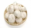 /product-detail/fresh-pure-white-garlic-with-high-quality-62004735997.html