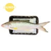 Food Fresh SAP Material High Absorbent Pad For Meat fish